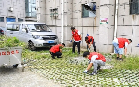 迎慶建黨99周年系列活動之：黨員青年突出隊助力文明衛生創建篇