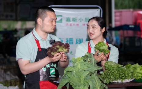 千金如玉，一口清心--生菜?油麥菜?萵筍直播專場